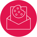 Privacy intro icon.